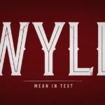 WYLL Mean in Text