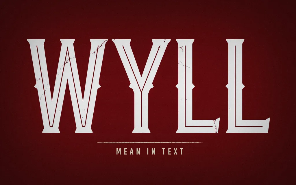 WYLL Mean in Text